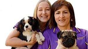 Find dog trainers in Brisbane and Melbourne Find Dog Trainers in Brisbane