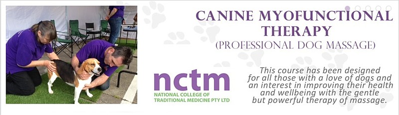 Canine Myofunctional Therapy