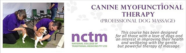The National College of Traditional Medicine