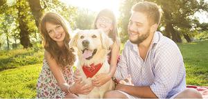 Pet Owners Insurance