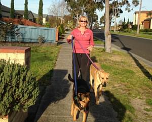 Paws in Patrol - Dog Walking and home visits for pets