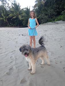 Dog Friendly Accommodation Port Douglas Dog Friendly Accommodation Port Douglas