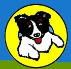 Oz Doggy Newsletters