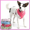 Dog+tags+for+pets+australia