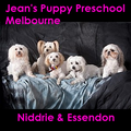 Jeans Puppy Preschool