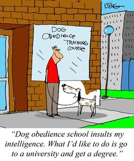 Dog needs training cartoon
