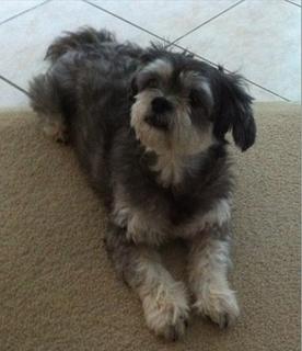 Oct 2014 - Thanks Tim for this picture of Zoe :)