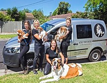 Dog Minders, Groomers, Dog Care Sydney, Melbourne and Brisbane