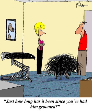 Dog needs grooming cartoon - Dog Cartoons - Cartoons about people, dogs,  cats and pets. - Oz Doggy -