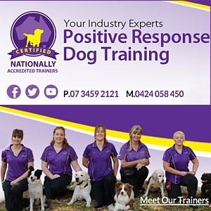 Dog Coats For Sale Adelaide Dog Coats For Sale Adelaide