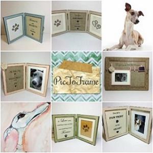 Pic To Frame - Memorial Pet Frames