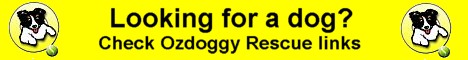 Ozdoggy dog rescue links