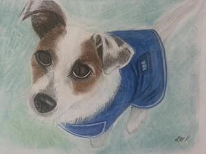 Pet portraits by Lyn