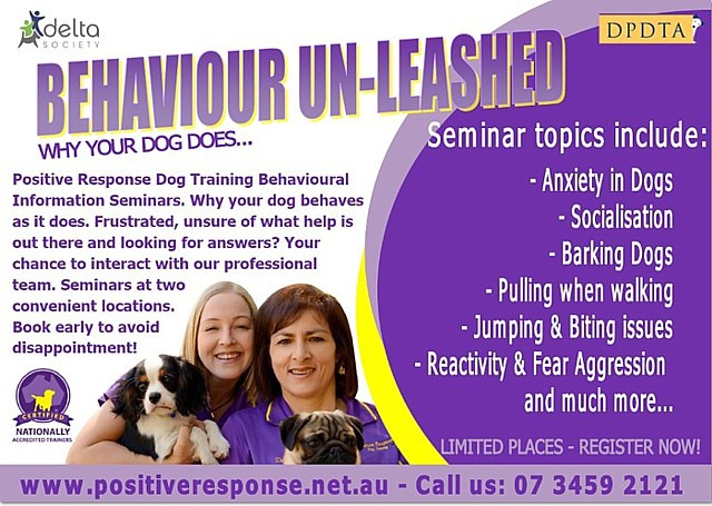 Dog Behaviour Seminars